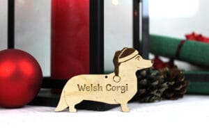 Welsh Corgi
