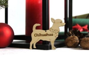 Chihuahua med navn