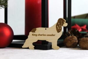 King charles cavalier med navn