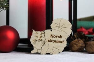 Norsk skovkat med navn