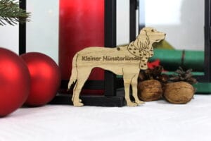 Kleiner münsterländer