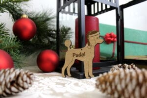 Pudel