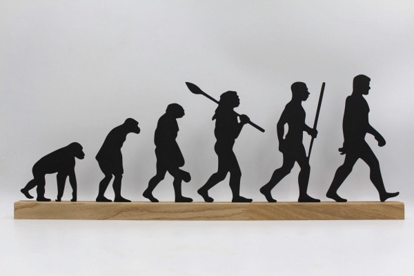 Evolution på træfod