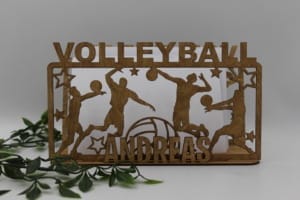 Sangskjuler - Volleyball