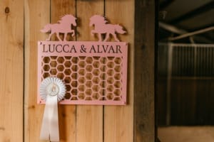 Rosette holder med navn i stål - Islænder